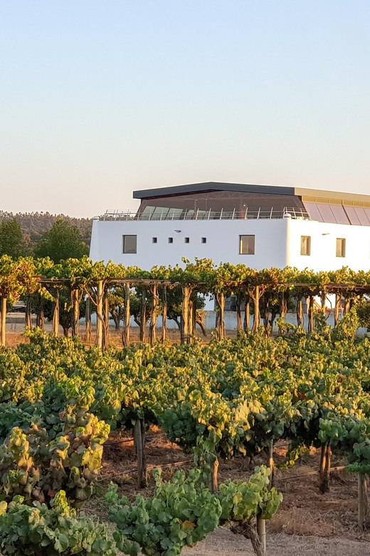 Herdade Canal Caveira - Winery Visit 4 Wines & Tapas - Is $35 a fair price?