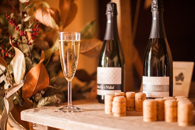 High-End Vineyard Escape: Cava, Tapas & Wine | Private Tour - Clothing, walking, and practical limits