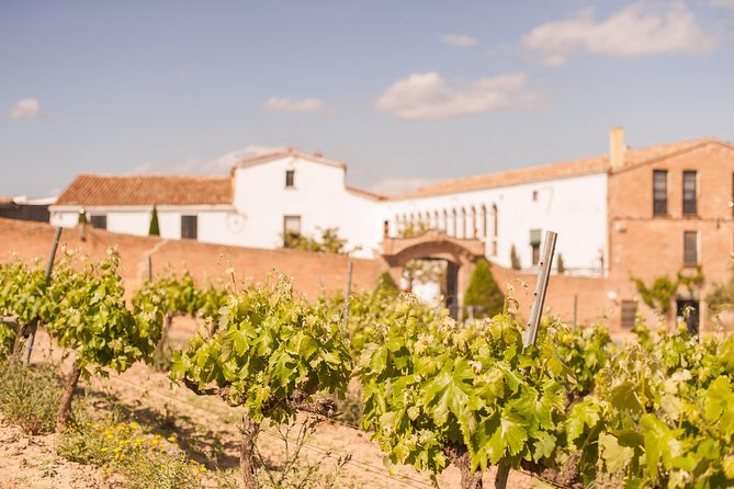 High-End Vineyard Escape: Cava, Tapas & Wine | Private Tour - Who should book this private wine escape?