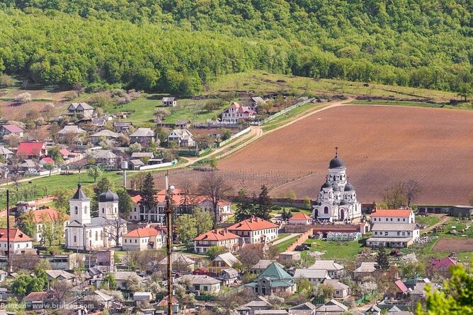 Highlights of Chisinau & Milestii Mici Wine Cellars - Key points to know before booking