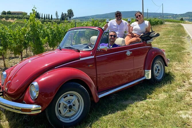 Hiking Tuscany & Chianti Wine - 3 Organic Wineries with lunch - Three organic wineries and more than 10 wines