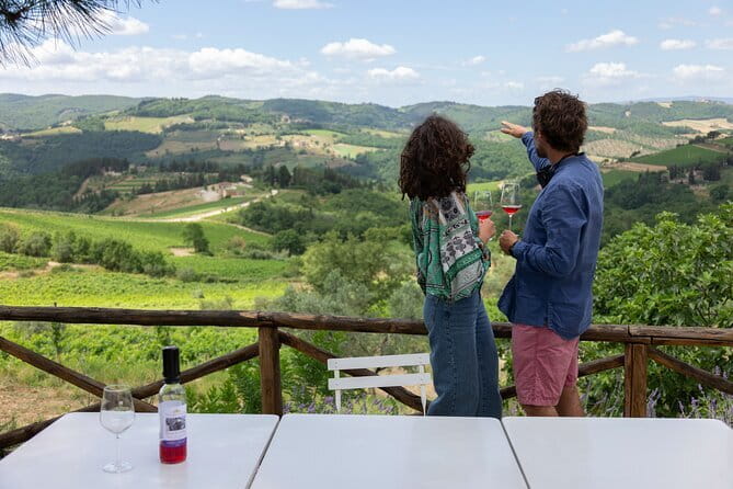 Hiking Tuscany & Chianti Wine - 3 Organic Wineries with lunch - Who should book this experience