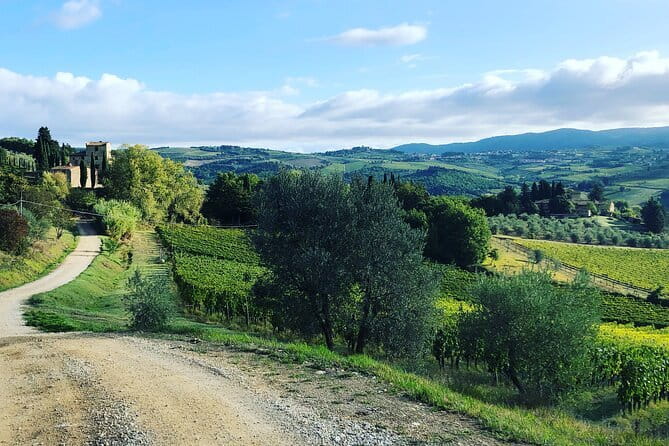 Hiking Tuscany & Chianti Wine - 3 Organic Wineries with lunch - Leaving Florence for the hills