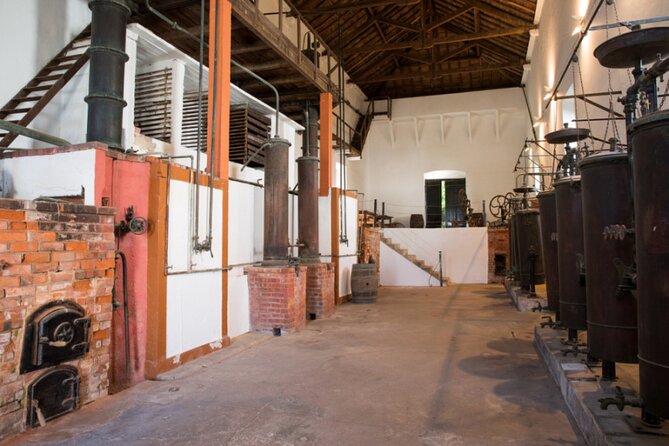 Historic Winery Tour and Tasting in Bombarral - Why this Bombarral winery is worth the trip