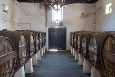 Historic Winery Tour and Tasting in Bombarral