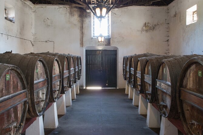 Historic Winery Tour and Tasting in Bombarral - The old distillery and its copper stills