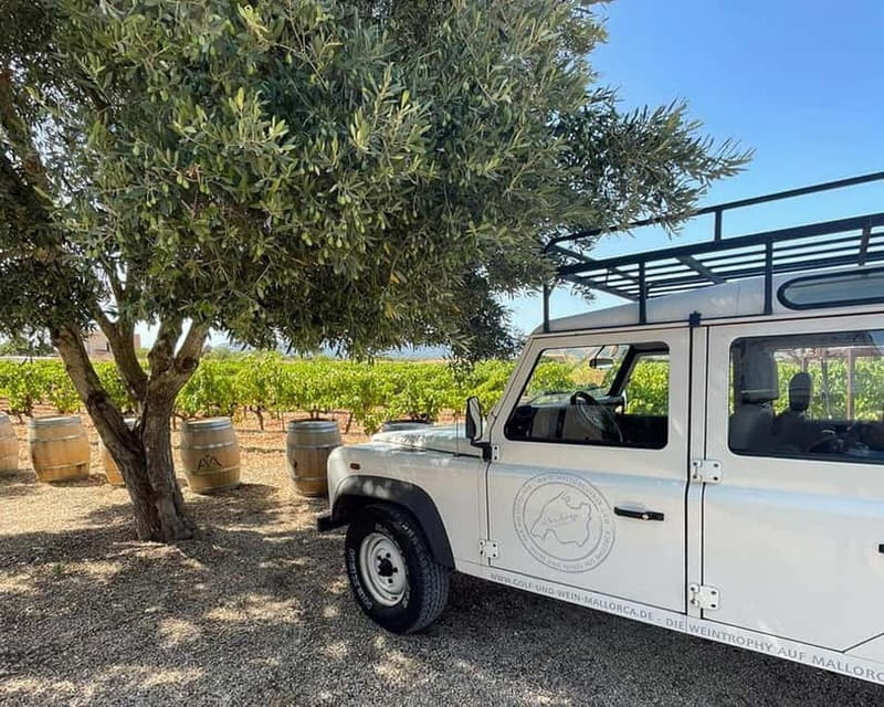 HISTORICAL BODEGA TOUR AND WINE TASTING - Why this Consell wine visit feels different