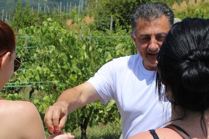 Honest Wines- Wine tasting at Cantina Biagiotti - Francesco makes the difference