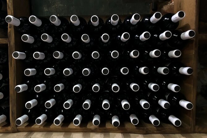 Honest Wines- Wine tasting at Cantina Biagiotti - Small groups, with one important qualification