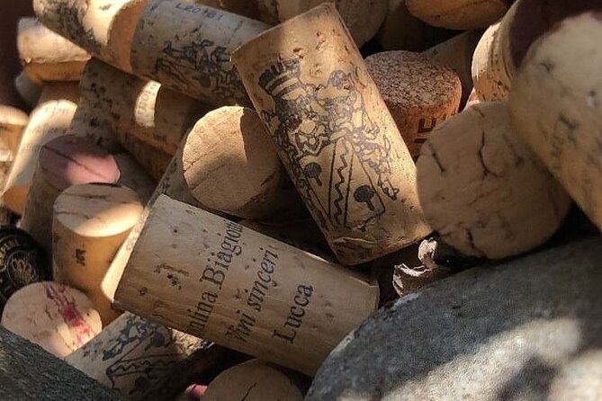 Honest Wines- Wine tasting at Cantina Biagiotti - Is $54.31 a fair price?