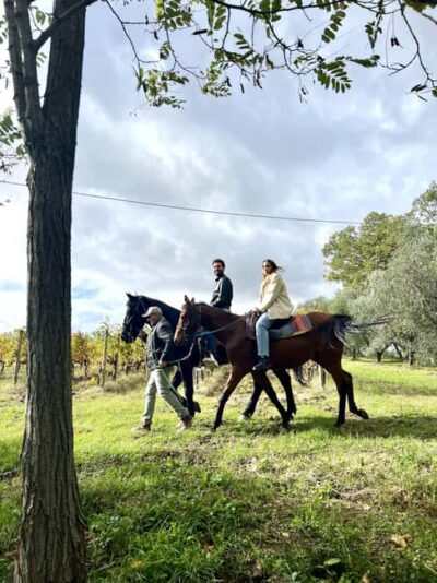 Horseback Ride Through the Vineyards of Montepulciano