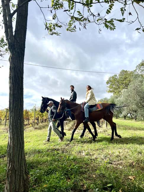 Horseback Ride Through the Vineyards of Montepulciano - Riding through vineyards and olive groves