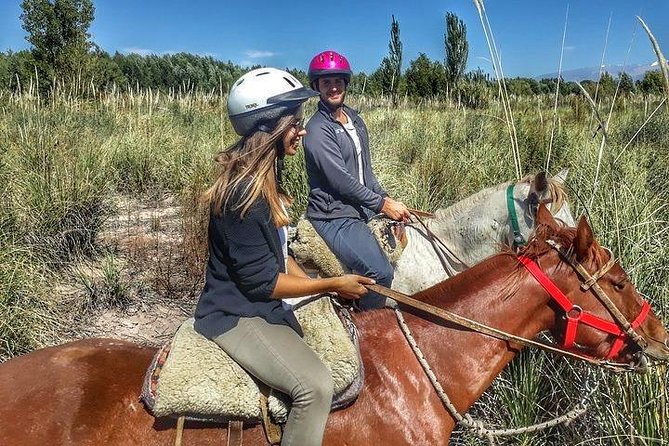 Horseback ride through vineyards followed by gourmet lunch - A Mendoza day built around horses, vines, and lunch