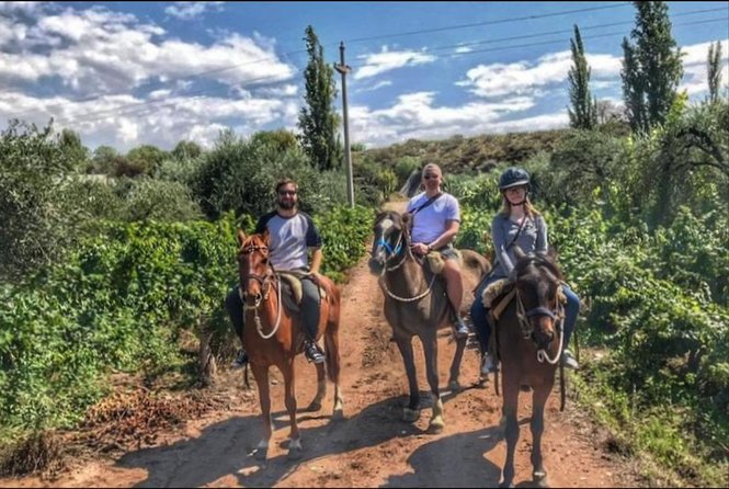 Horseback ride through vineyards followed by gourmet lunch - The tour’s best feature is its easy pace