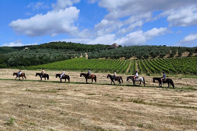 Horseback Riding in the Vineyards - Key points to know before you saddle up