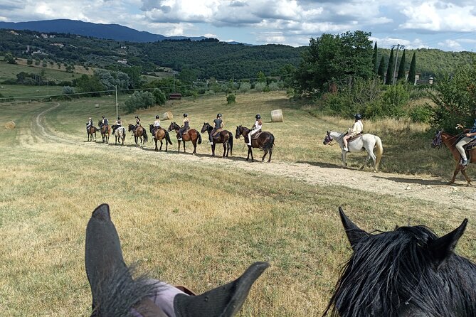 Horseback Riding in the Vineyards - Leaving Florence for the Torre a Cona countryside