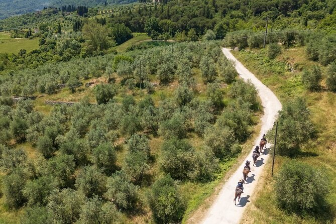 Horseback Riding in the Vineyards - What the guide adds to the countryside