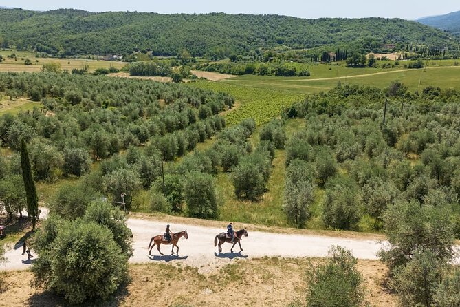 Horseback Riding in the Vineyards - A close look at the value of $96.12