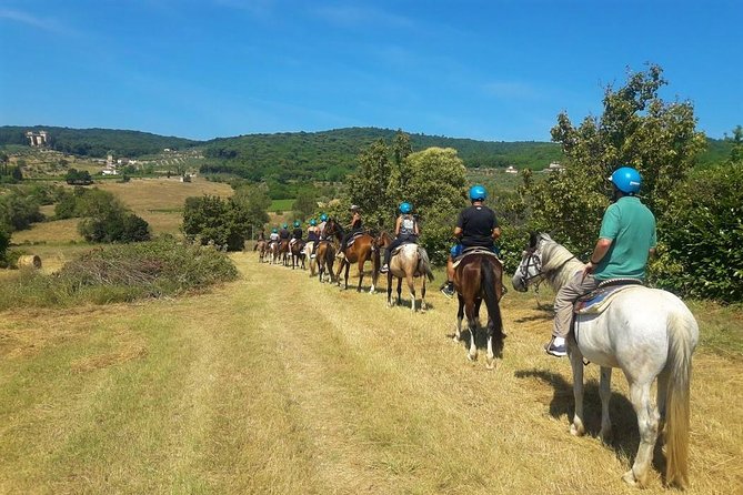 Horseback Riding in the Vineyards - The end of the ride and the return to the ranch