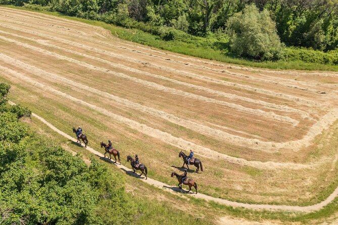 Horseback Riding in the Vineyards - Riding slowly through vineyards and olive groves