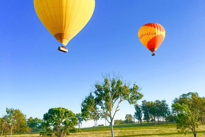 Hot Air Balloon Flight Brisbane with Vineyard Breakfast - What the price of $355.04 includes