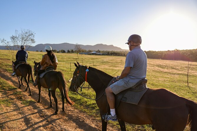 Hunter Valley Horse Ride - 90 Minutes -Vineyard & Mountain Views - Key points at a glance