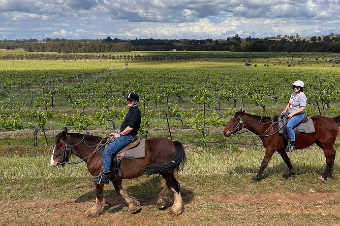 Hunter Valley Horse Ride - 90 Minutes -Vineyard & Mountain Views - Riding through Pokolbin at a walking pace