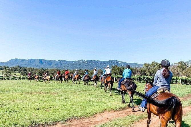 Hunter Valley Horse Ride - 90 Minutes -Vineyard & Mountain Views - Why beginners can feel comfortable here