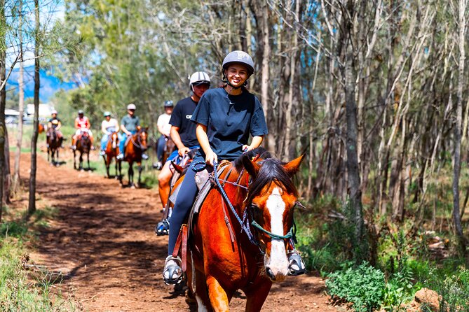 Hunter Valley Horse Ride - 90 Minutes -Vineyard & Mountain Views - Is the price fair at $98.43?