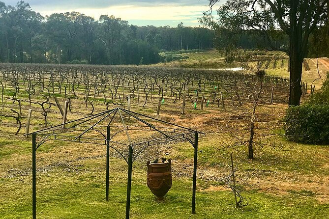 Hunter Valley Wine Tour from Sydney: 3 Wineries & Vineyard Picnic - The Vineyard Picnic at Pokolbin