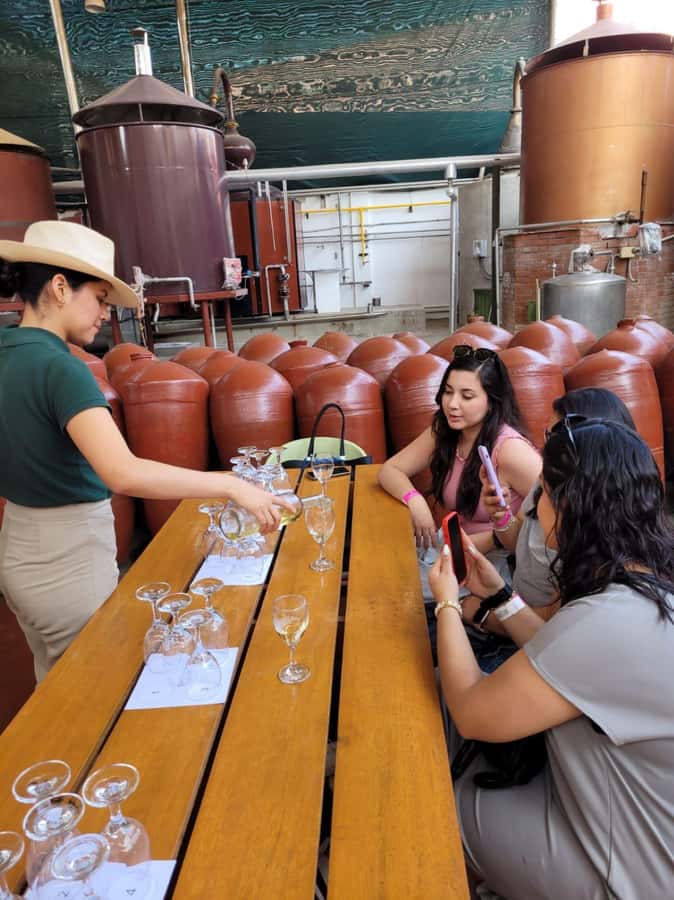 ICA: Pisco and Wine Route with tasting in 03 Wineries - Why Ica Is the Right Place to Learn About Pisco