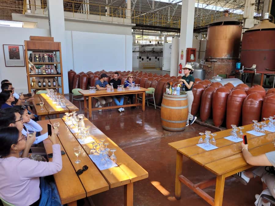 ICA: Pisco and Wine Route with tasting in 03 Wineries - Starting from Ica or Huacachina
