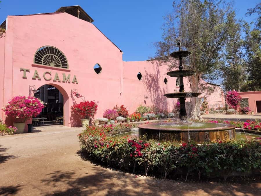 ICA: Pisco and Wine Route with tasting in 03 Wineries - The First Tasting: Learning to Read Pisco
