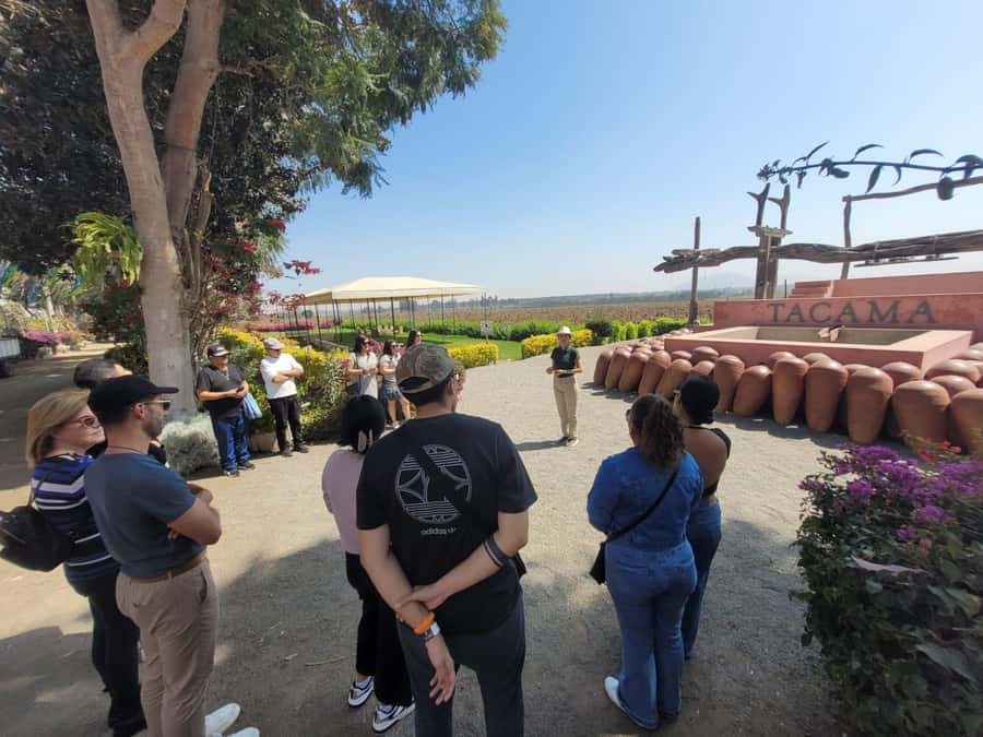 ICA: Pisco and Wine Route with tasting in 03 Wineries - Vineyard Views and a Second Winery