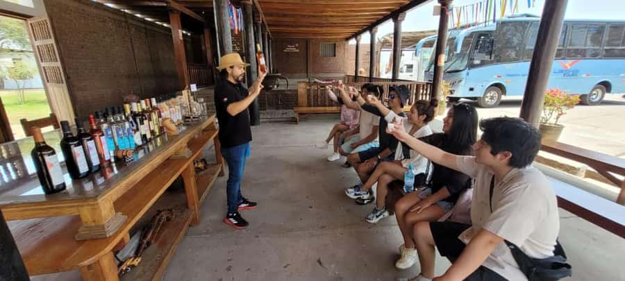 ICA: Pisco and Wine Route with tasting in 03 Wineries - Regional Lunch and Local Pairings