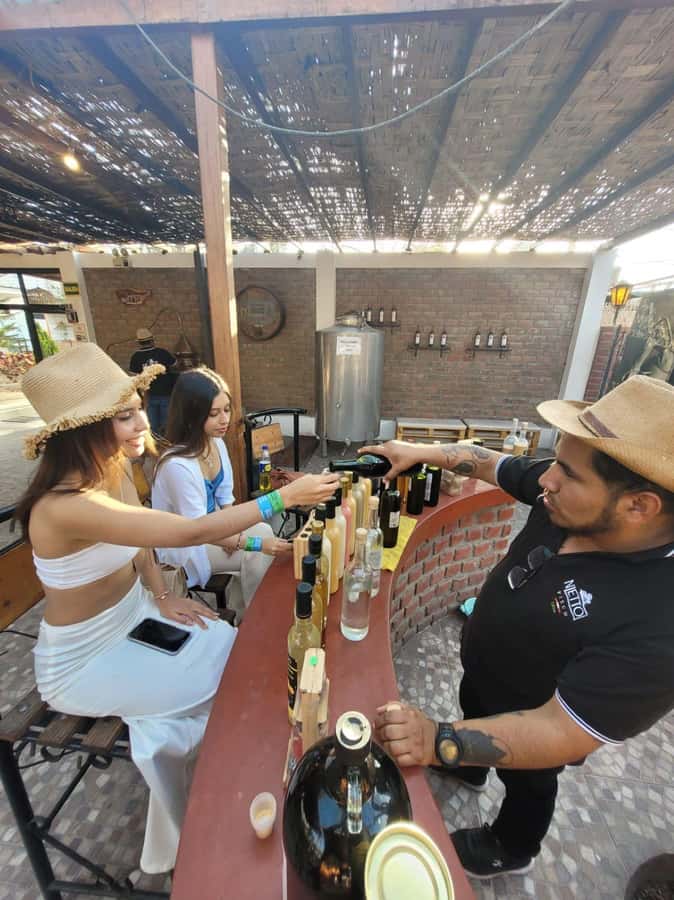 ICA: Pisco and Wine Route with tasting in 03 Wineries - Who Will Enjoy This Most