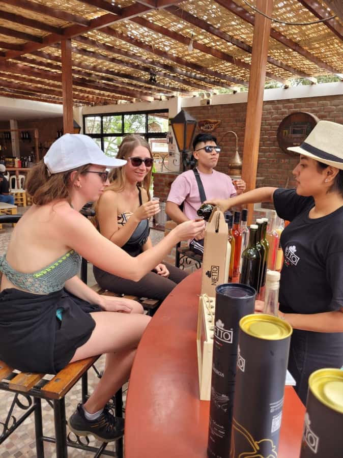 ICA: Pisco and Wine Route with tasting in 03 Wineries - Practical Tips for a Better Visit