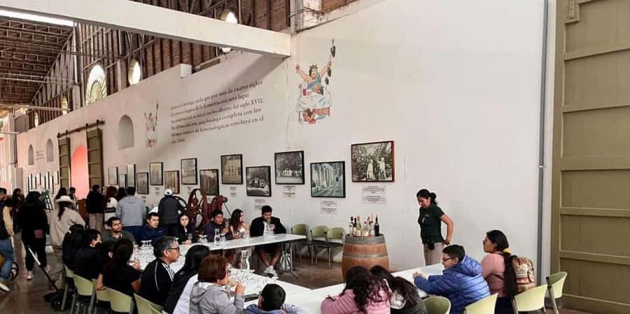 Ica: Tacama Winery and Pisco Tasting Tour with Hotel Pickup - Key points to know before booking
