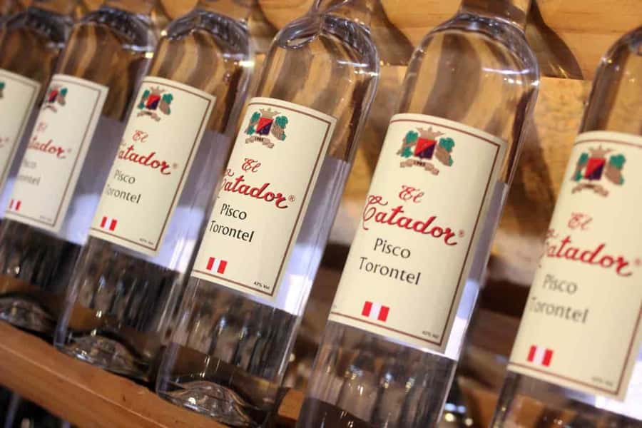 Ica: Tacama Winery and Pisco Tasting Tour with Hotel Pickup - Who should book this winery outing