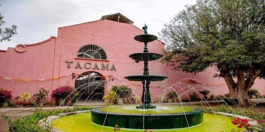 Ica: Tacama Winery and Pisco Tasting Tour with Hotel Pickup - Starting with El Catador’s handmade production