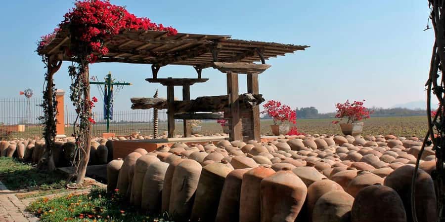 Ica: Winery Tour with Pisco and Wine Tasting - Key points at a glance