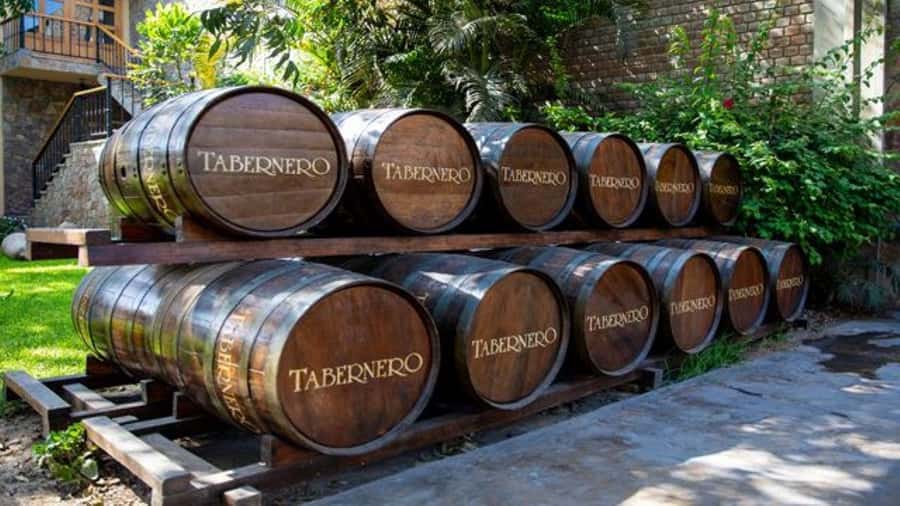 Ica: Winery Tour with Pisco and Wine Tasting - El Catador: Pisco culture and traditional products