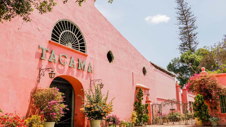 Ica: Winery Tour with Pisco and Wine Tasting - Buying Pisco to take home