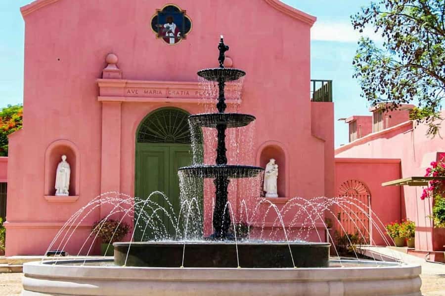 Ica: Winery Tour with Pisco and Wine Tasting - Who should book this experience
