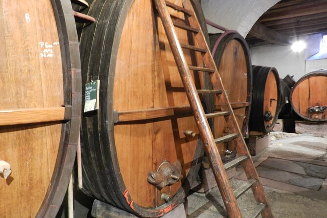 ICONICS Tour: 1/2 day on the Wine Route, visit of 2 Villages + Tasting. - Visiting an independent winery and cellar