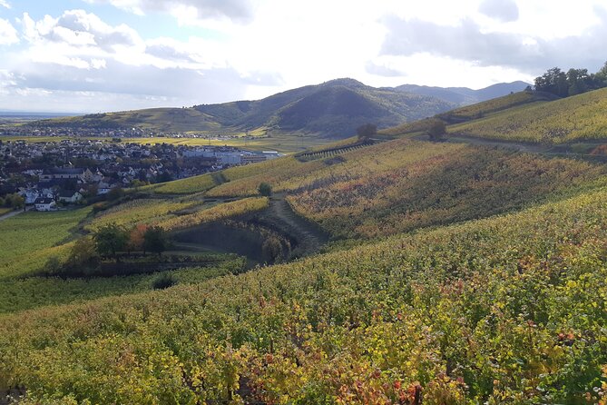 ICONICS Tour: 1/2 day on the Wine Route, visit of 2 Villages + Tasting. - What Anna adds to the afternoon