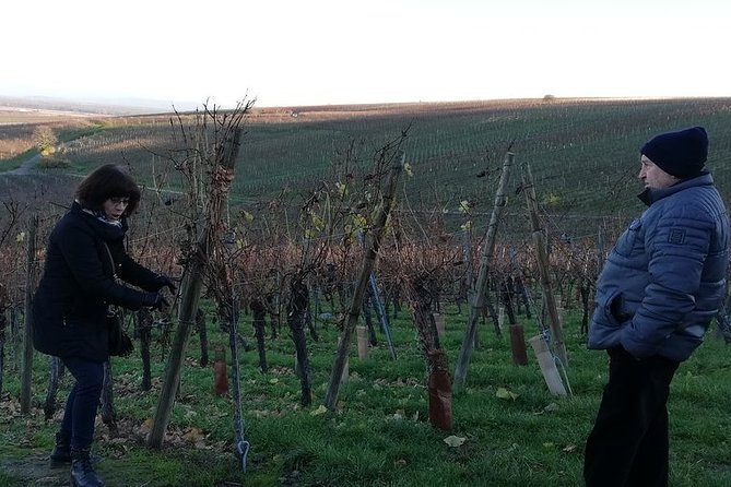 ICONICS Tour: 1/2 day on the Wine Route, visit of 2 Villages + Tasting. - The van, timing, and daily practicalities