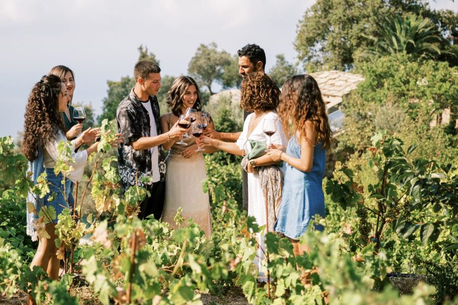 Ikaria: Winery Tour and Tasting with Winemaker - What you learn in the cellar