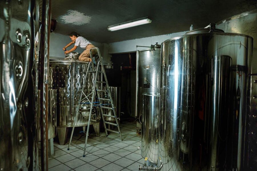 Ikaria: Winery Tour and Tasting with Winemaker - Starting among the vines