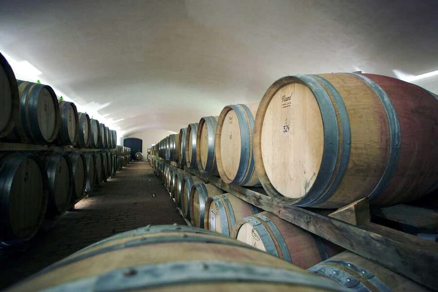 Il Molino di Grace: Vineyard & Cellar Tour with Wine Tasting - A one-hour introduction to Tuscan wine